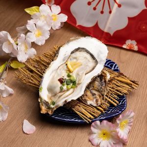 Raw Dream Oysters