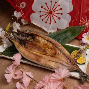 Overnight dried Kinka mackerel (one piece)