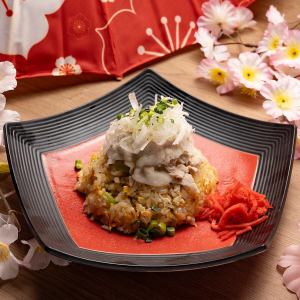 Salted pork and green onion fried rice