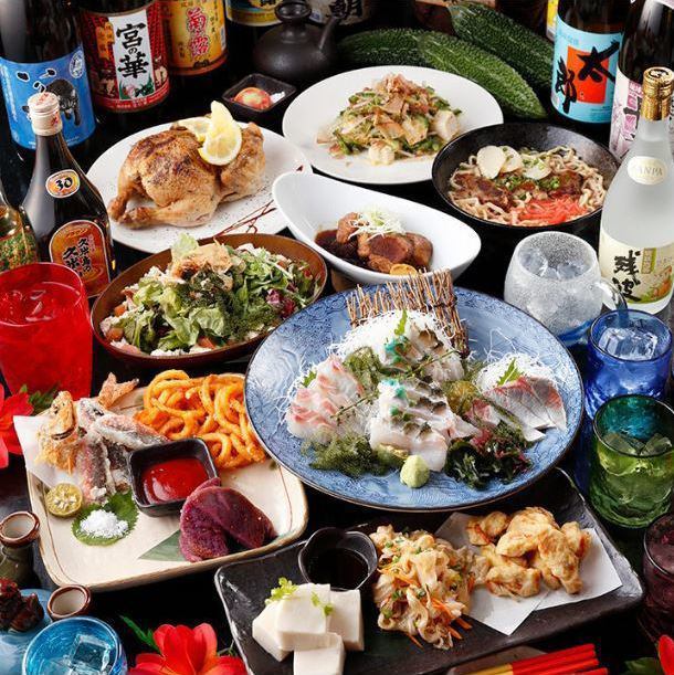 蒲田駅東口近く♪沖縄料理を堪能できる琉球居酒屋です♪