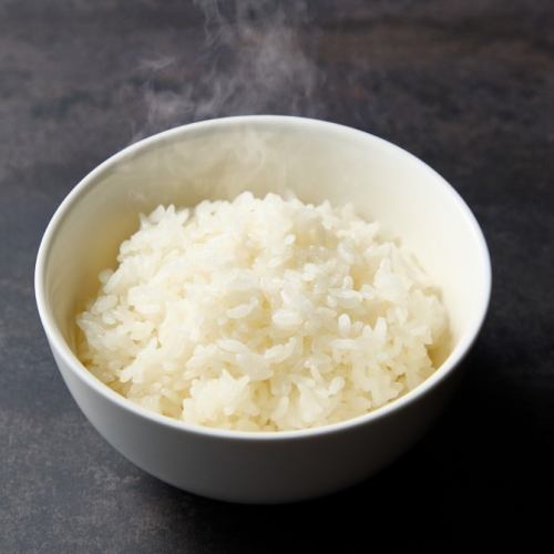 白飯(京丹後しあわせ米)