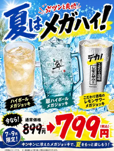 夏はお得にメガハイ！