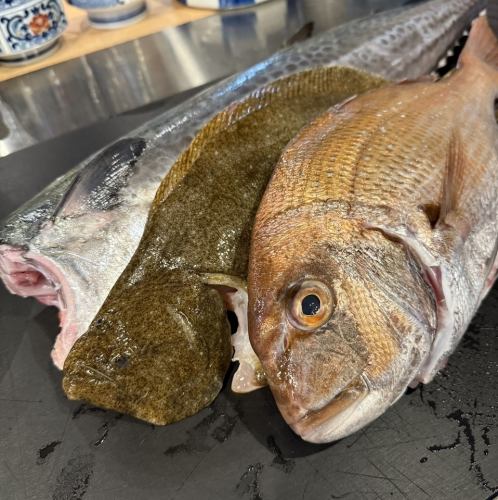 市場直送の新鮮な海鮮♪