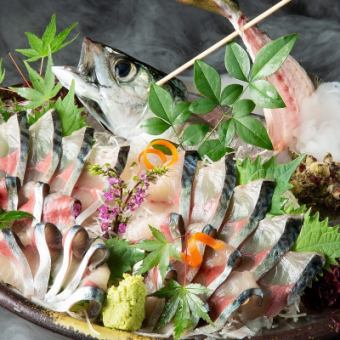 Live Nagasaki herb mackerel making