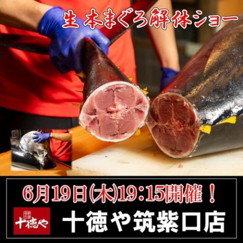 迫力満点！6/19(木)19:15～スタート・まぐろ解体ショー！
