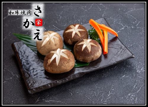 椎茸