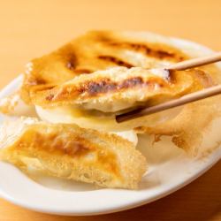 Gyoza