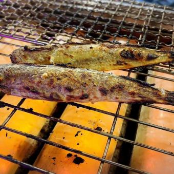 一夜干し生炙りこまい焼き　2尾
