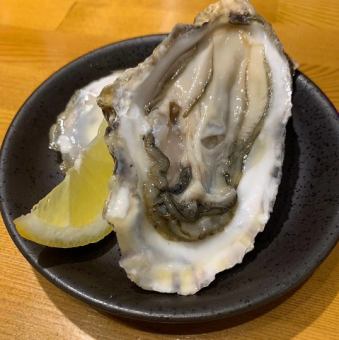 厚岸産殻付生牡蠣 2Lサイズ　1個