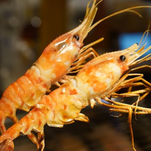 ボタンエビ焼き 1尾