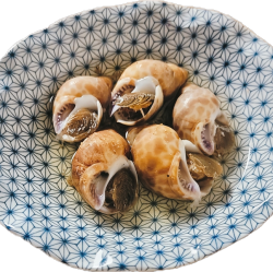 Whelk Oden
