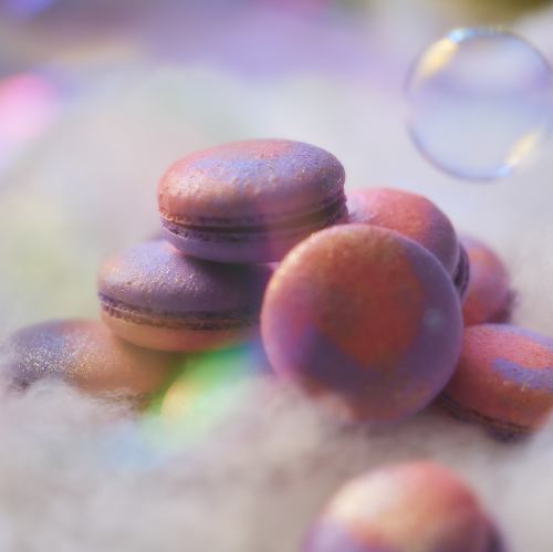 STARRY DAYS ~Angel’s Sky Party~