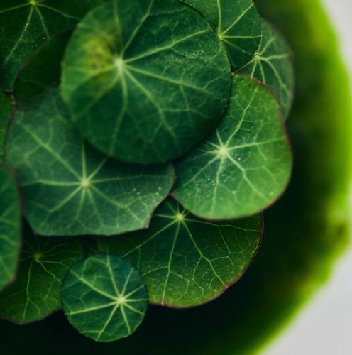 ◆A variety of exquisite dishes prepared according to the ingredients