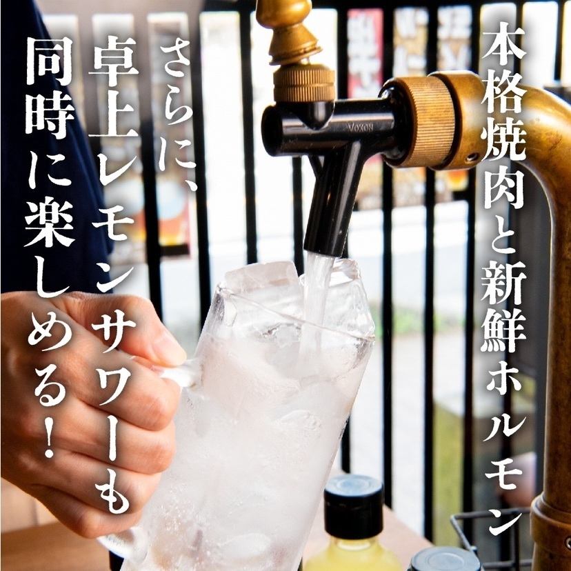 All-you-can-drink instant lemon sour on a tabletop server! Choose from 2 types of syrup♪