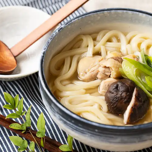 Nishikishou Chicken Udon Noodles