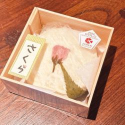 共働学舎 さくら(チーズ)