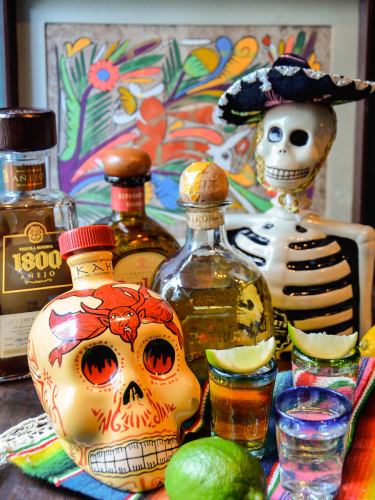 Over 100 carefully selected premium tequilas and mezcals