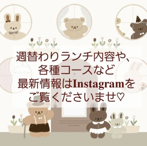 For the latest information, please visit Instagram~♪