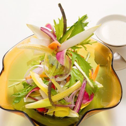 아침 채취 미우라 산 유기농 야채의 바냐 카우 다