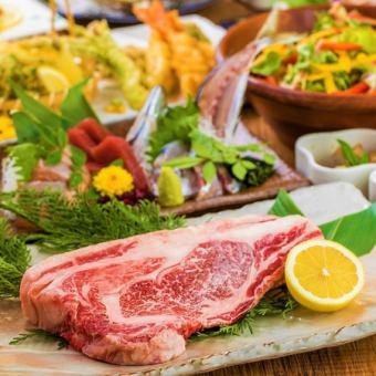 [高级食材]5种特选时令鱼和牛菲力牛排拼盘◆附2小时无限畅饮+9道菜品⇒6000日元◆