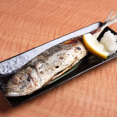 【囲炉裏焼き】のどぐろ塩焼き
