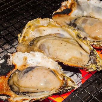 <Golden Dripping-Oyster->-1 grilled oyster