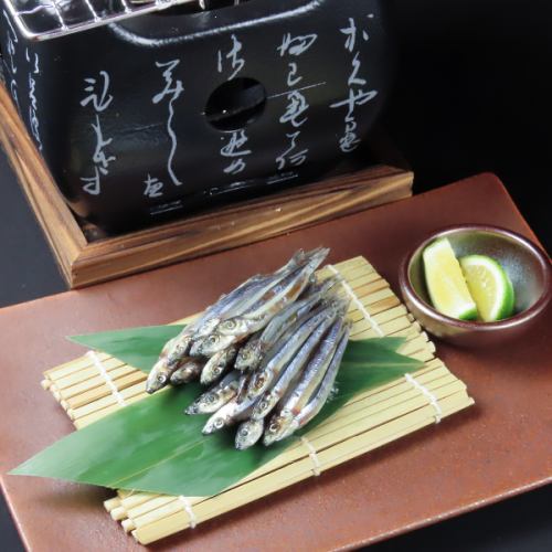 鹿児島県きびなご一夜干し