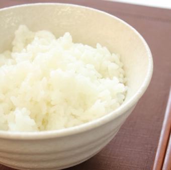 しろごはん