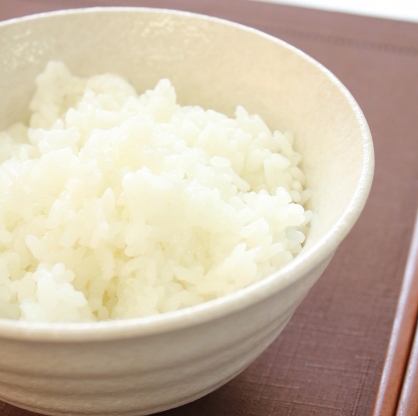 しろごはん