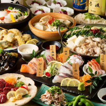 Welcome party/farewell party <Carefully selected> Kyushu all-you-can-eat plan with 5 types of gorgeous fresh fish◆2 hours of all-you-can-drink draft beer included◆12 dishes in total