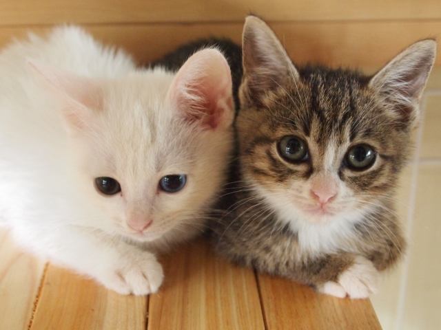 ゆったり宴会「3時間飲み放題付きスペシャルプラン」今夜はじっくりまったり語りつくそう。