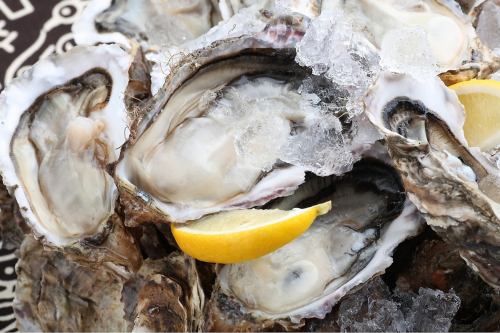 Raw oysters are 100 yen (110 yen) every day!