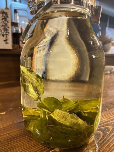 Our gin is infused with lime leaves for a refreshing taste!