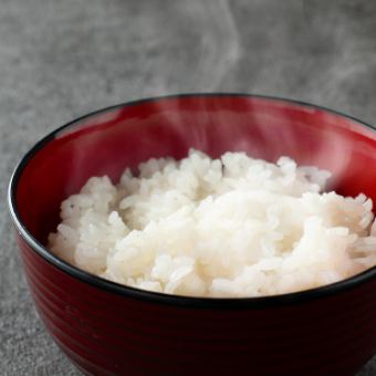 ご飯