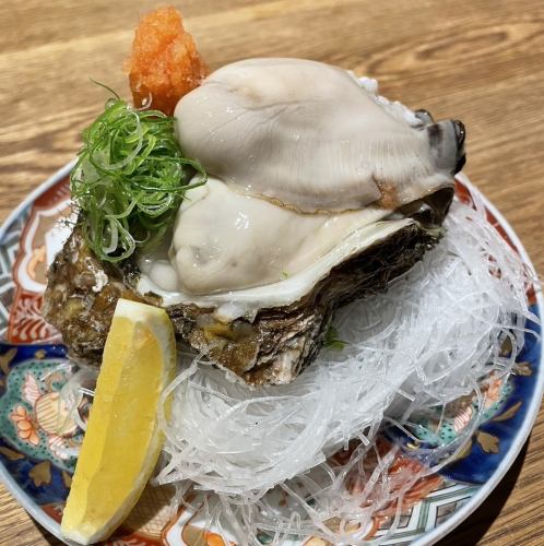 氷見天然岩ガキ特大