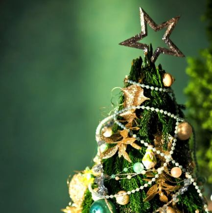 Christmas Course "Star Etoile"