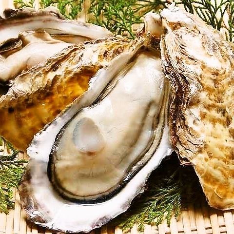 Please try the seasonal oysters from all over Japan such as Hiroshima and Nagasaki!