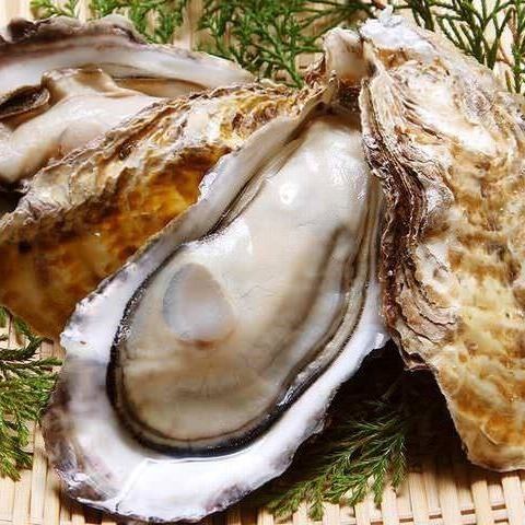 [Seasonal oysters from all over the country]