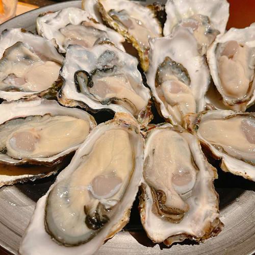 Fresh oysters from all over Japan