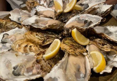 Assortment of 3 kinds of raw oysters