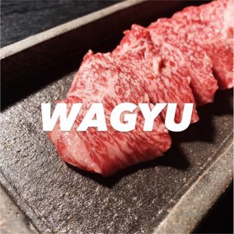 ■焼肉宴会♪【 WAGYUコース・6600円 】 黒毛和牛盛付♪焼肉食べ放題×2時間飲み放題♪