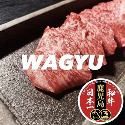 ■ Yakiniku Banquet♪ [WAGYU Course 6,600 yen] Includes a Wagyu beef platter♪ All-you-can-eat yakiniku and 2 hours of all-you-can-drink♪