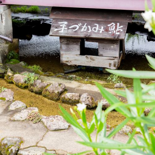 鮎の手づかみ体験