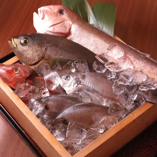 【鮮魚盛り合わせ】