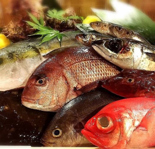 鮮魚刺身盛り合わせ　各種