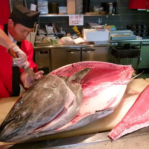 Fresh bluefin tuna!