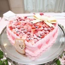 婚礼余兴派对计划x房子x超大心形蛋糕等10大优惠！！3000日元连开胃小菜