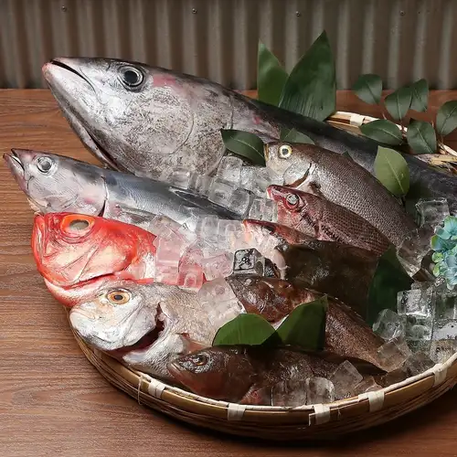 市場直送の鮮魚と国産わら焼きで味わう本格海鮮料理