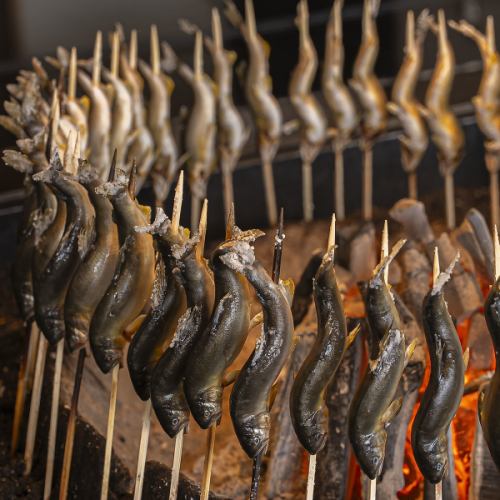 Irori Ami-sada's carefully selected wild ayu fish from Lake Biwa ☆ [890 yen each (tax included)]