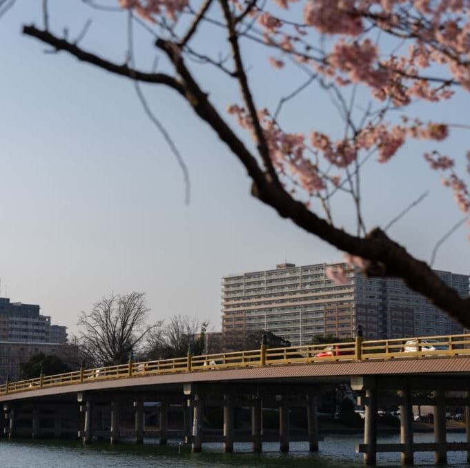 일상을 잊게 하는, 다른 세계에 있는 것 같은 특별 공간은, 데이트에도◎